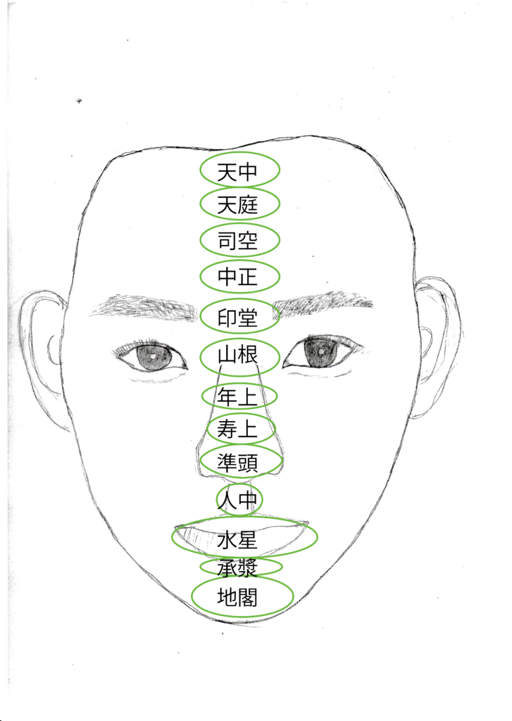 人相占いについて 13部位 フォーチュンバス 占い師 ヨギジュン